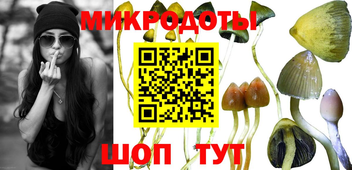Псилоцибиновые грибы Magic Shrooms Тольятти