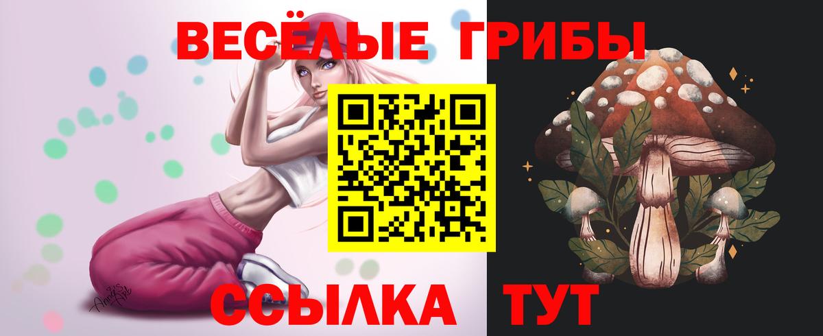Галлюциногенные грибы Psilocybine cubensis  Псилоцибиновые грибы Psilocybine cubensis  Вход с VPN  Тольятти 