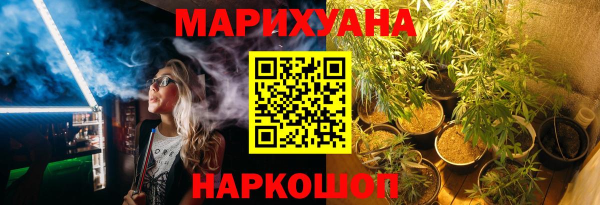 Каннабис планчик Тольятти